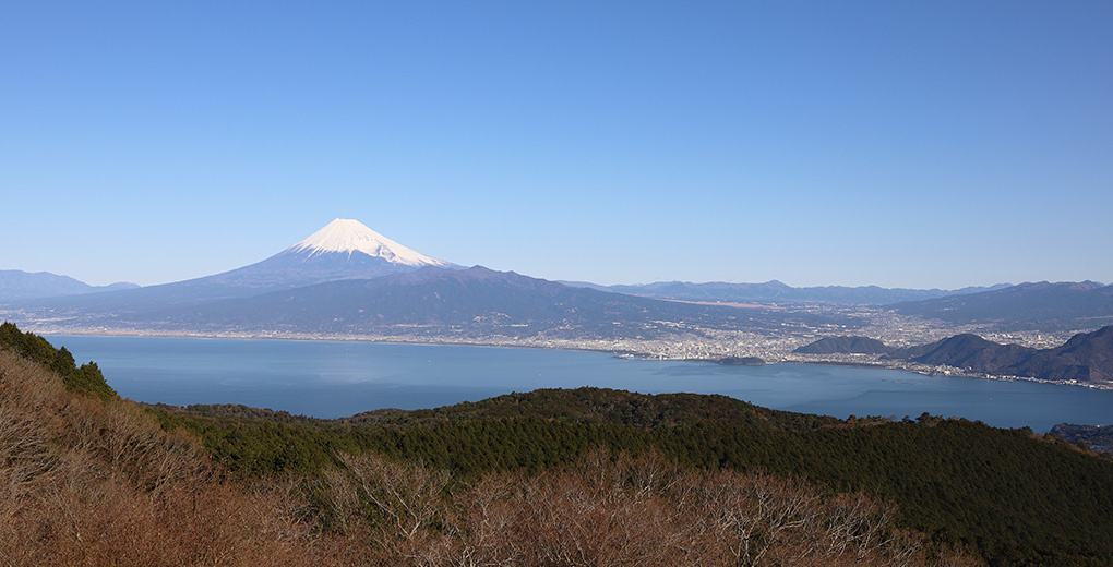 izu city