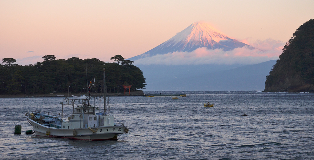 numazu city