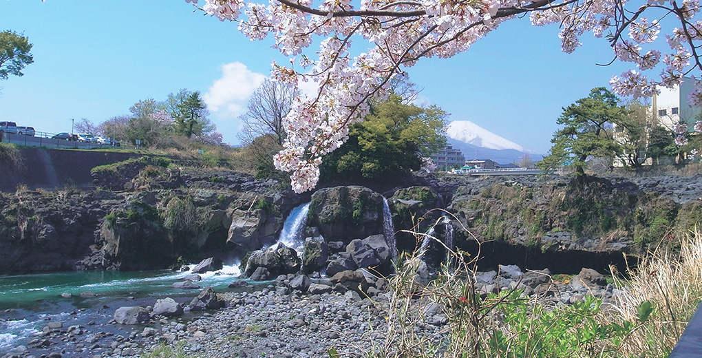 nagaizumi town