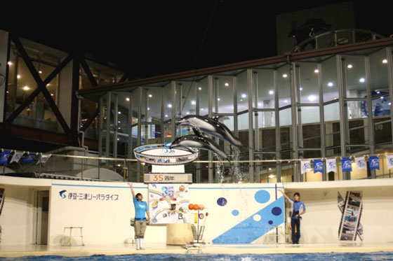 「伊豆・三津シーパラダイス」夜の水族館貸切プラン（沼津市） 海の仲間たちが記憶に残る夜を演出します