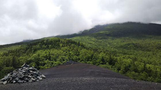 緑に囲まれた登山口から「小富士ウォーキング」 富士登山道須走口（小山町）